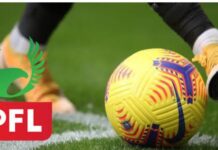 NPFL logo